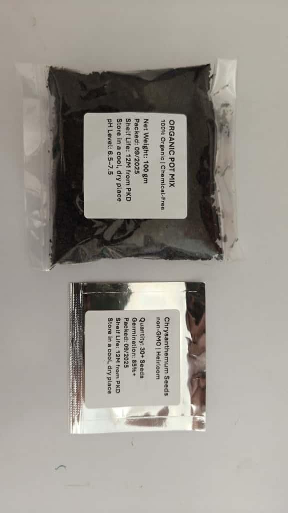 AI Double-Petal Chrysanthemums Seeds and 100 grams Organic Pot Mix PACK 2