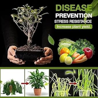 Soil Activator Treasure Pack of 2