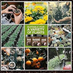 Soil Activator Treasure Pack of 2