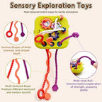 Montessori 7 in 1 Baby Sensory Toy for Kids
