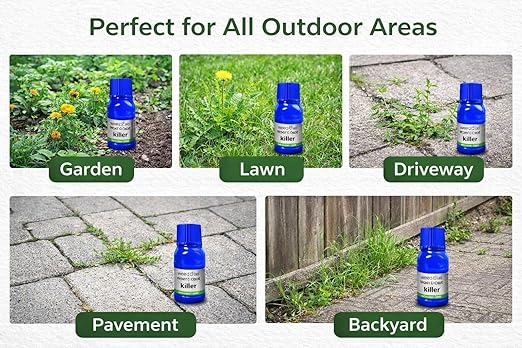 Powerful Ready-to-Use Weed & Root Killer Deep Penetrating Formula(Pack of 2)