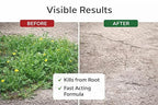 Powerful Ready-to-Use Weed & Root Killer Deep Penetrating Formula(Pack of 2)