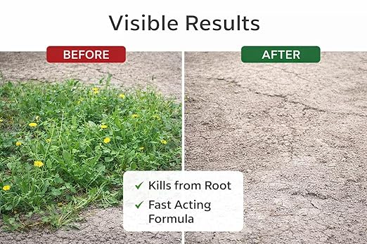 Powerful Ready-to-Use Weed & Root Killer Deep Penetrating Formula(Pack of 2)